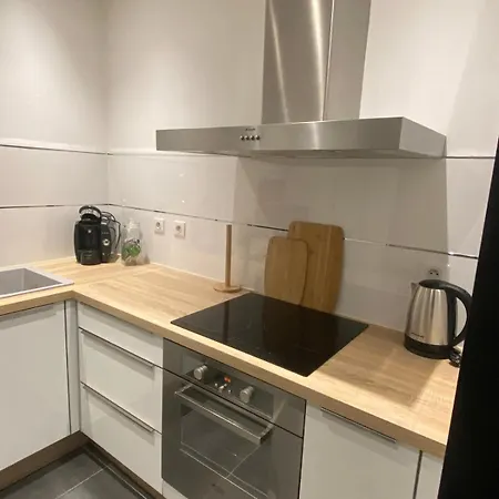Climatise Avec Parking Prive Au Coeur De La Vieille Apartman